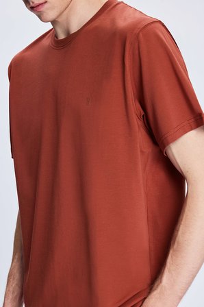 Bordo Regular Fit Bisiklet Yaka Pamuklu Triko Tişört | XXL