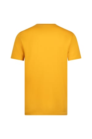 Sarı Regular Fit Bisiklet Yaka Pamuklu Basic Tişört | XXL