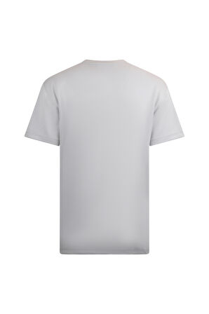 Gri Regular Fit Bisiklet Yaka Pamuklu Basic Tişört | XL