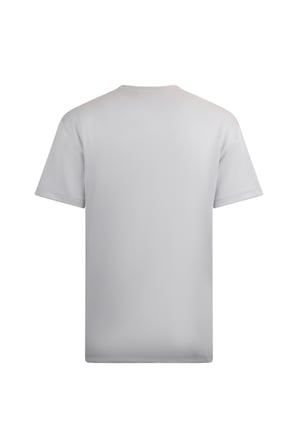 Gri Regular Fit Bisiklet Yaka Pamuklu Basic Tişört | XXL