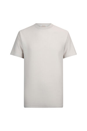 Taş Regular Fit Bisiklet Yaka Basic Tişört | L