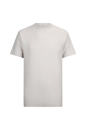 Taş Regular Fit Bisiklet Yaka Basic Tişört | S