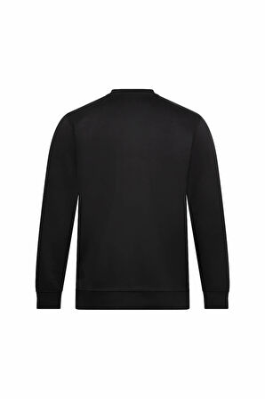 Siyah Regular Fit Bisiklet Yaka Sweatshirt | L