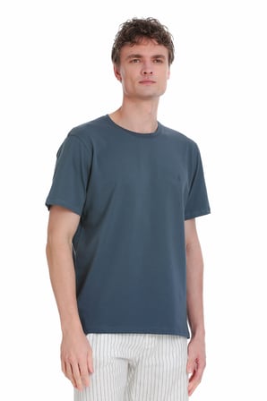 indigo Regular Fit Bisiklet Yaka Pamuklu Tişört | S