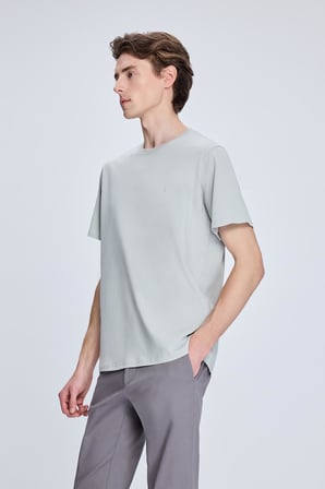 Gri Regular Fit Bisiklet Yaka Pamuklu Triko Tişört | S