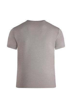 Gri Regular Fit Bisiklet Yaka Tişört | XL