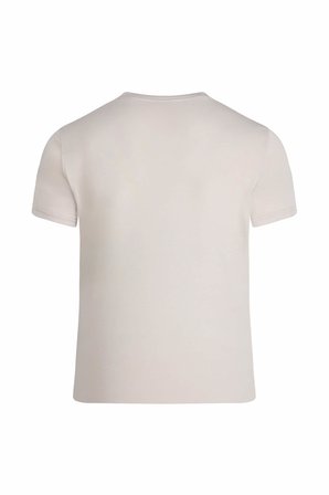 Taş Regular Fit Bisiklet Yaka Tişört | XL