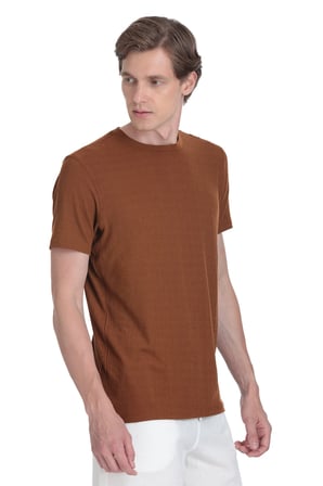 Kahverengi Regular Fit Bisiklet Yaka Tişört | S