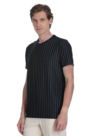 Lacivert Regular Fit Çizgili Bisiklet Yaka Tişört | L