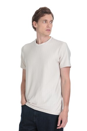 Taş Regular Fit Çizgili Bisiklet Yaka Tişört | M