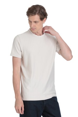 Taş Regular Fit Çizgili Bisiklet Yaka Tişört | S