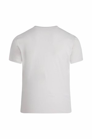 Taş Regular Fit Bisiklet Yaka Pamuklu Tişört | L