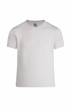 Taş Regular Fit Bisiklet Yaka Pamuklu Tişört | M