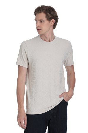 Taş Regular Fit Bisiklet Yaka Tişört | M