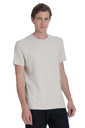Taş Regular Fit Bisiklet Yaka Tişört | S