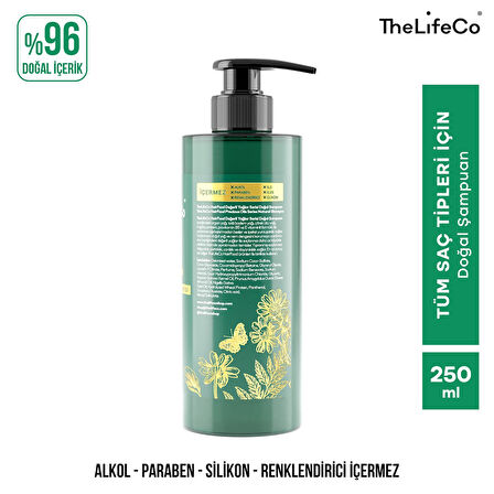 TheLifeCo Günlük Bakım - Doğal Şampuan 250 ml & Durulanmayan Doğal Saç Bakım Kremi 200 ml