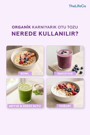 TheLifeCo Organik Psyllium İçecek Tozu 180 Gr