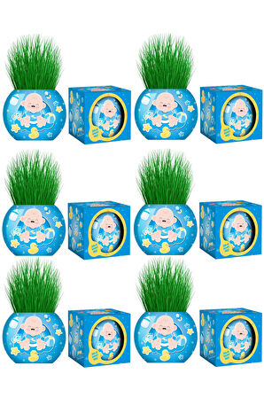 Çim Adam 12 Adet Yeni Nesil Kutulu Mavi Bebek Temalı Baby Shower Yeni Doğan 1 Yaş Doğum Günü Parti Hediyelik 