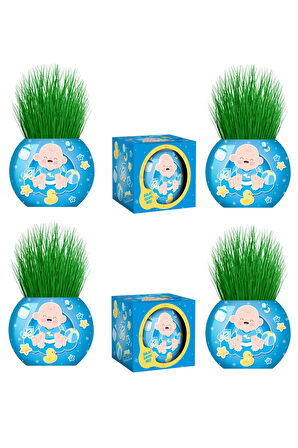 Çim Adam 12 Adet Yeni Nesil Kutulu Mavi Bebek Temalı Baby Shower Yeni Doğan 1 Yaş Doğum Günü Parti Hediyelik 