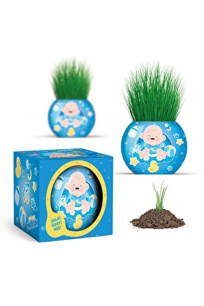 Çim Adam 12 Adet Yeni Nesil Kutulu Mavi Bebek Temalı Baby Shower Yeni Doğan 1 Yaş Doğum Günü Parti Hediyelik 