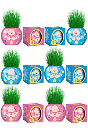Çim Adam 12 Adet Yeni Nesil Kutulu Mavi Pembe Bebek Temalı Baby Shower Yeni Doğan 1 Yaş Doğum Günü Parti Hediyelik 
