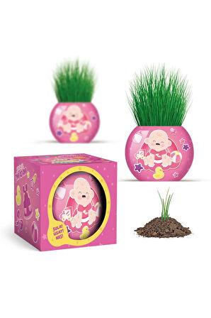 Çim Adam 12 Adet Yeni Nesil Kutulu Mavi Pembe Bebek Temalı Baby Shower Yeni Doğan 1 Yaş Doğum Günü Parti Hediyelik 