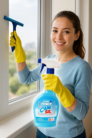 Camsil Cam Temizleme 750 ml