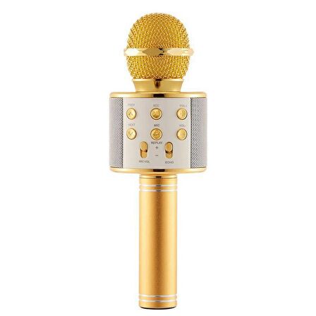 Torima WS-858 Karaoke Mikrofon Aux Usb Ve Sd Kart Girişli Bluetooth Hoparlör Gold