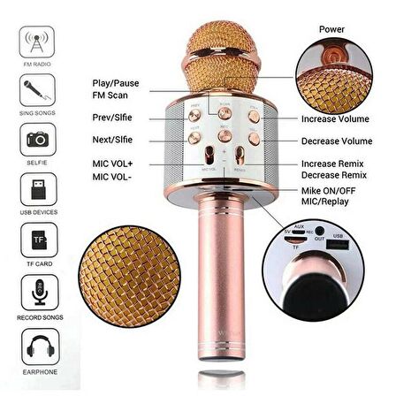 Torima WS-858 Karaoke Mikrofon Aux Usb Ve Sd Kart Girişli Bluetooth Hoparlör Gold