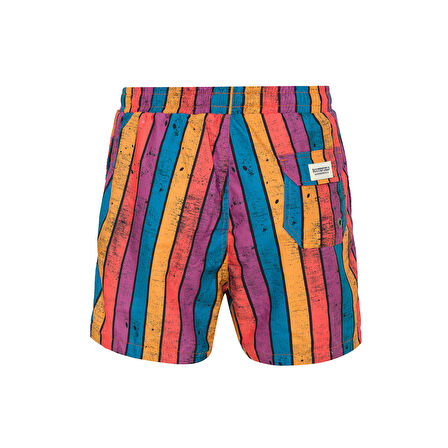 Routefield Vicco Erkek Deniz Şortu