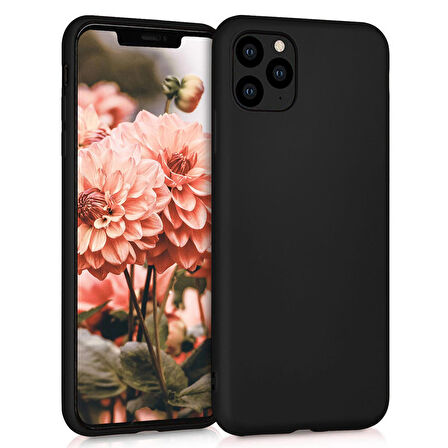 Microsonic Apple iPhone 11 Pro Kılıf & Aksesuar Seti