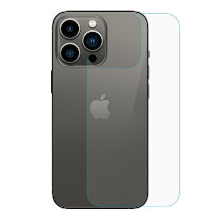 Microsonic Apple Uyumlu iPhone 13 Pro Arka Temperli Cam Ekran Koruyucu