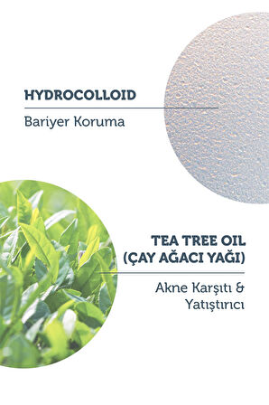 The Purest Solutions Hidrokolloid Bandı 36 Adet