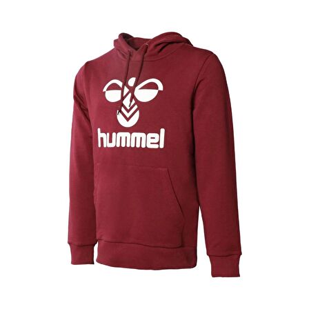 Hummel Erkek Hoodie Arus