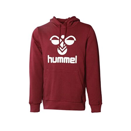 Hummel Erkek Hoodie Arus