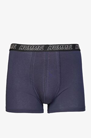 HUMMEL ERKEK İÇ ÇAMAŞIRI HMLBOXIS BOXER 970310