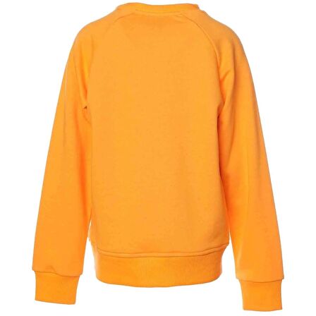 Hummel CANUTE ÇOCUK SWEATSHIRT