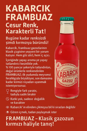 Kabarcık Gazoz Kırmızı Frambuaz (24 adet)