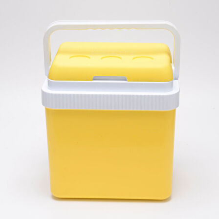 Icepeak SF26 Taşıma Çantası Buzluk 26 Litre-SARI
