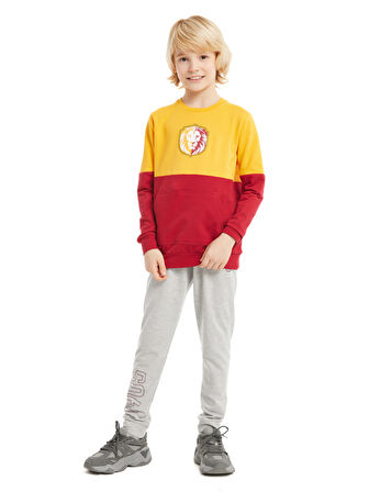 Galatasaray Çocuk Sweatshirt C232153