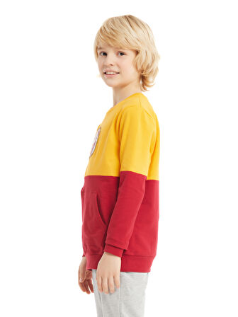 Galatasaray Çocuk Sweatshirt C232153