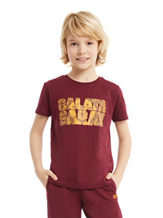 Galatasaray Çocuk T-shirt C232147