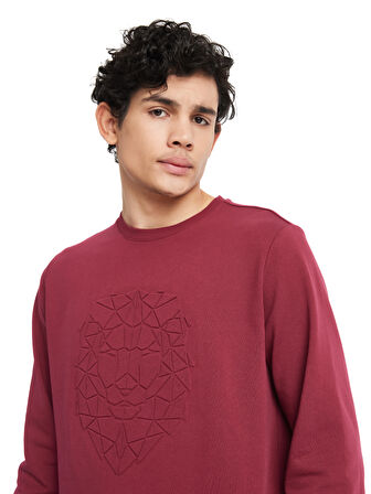 Galatasaray Erkek Sweatshirt E232181