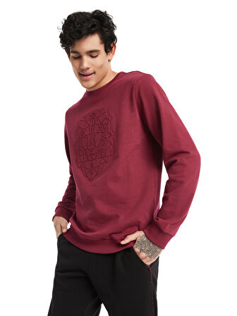 Galatasaray Erkek Sweatshirt E232181