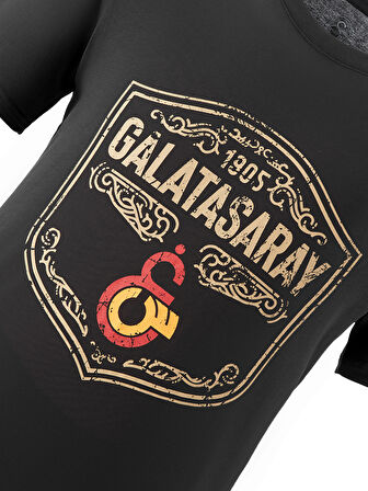 Galatasaray Erkek T-Shirt E241155