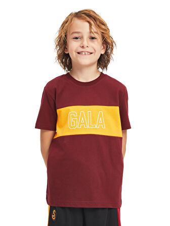 Galatasaray Çocuk T-shirt C241128