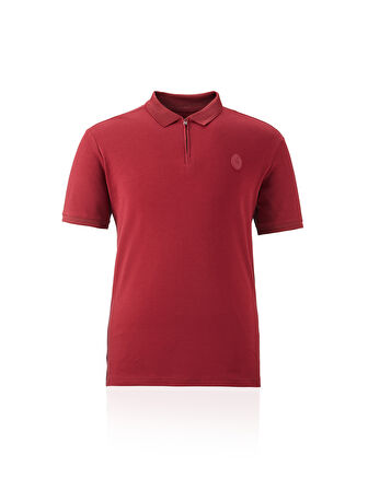 Galatasaray Erkek Polo T-Shirt E241239