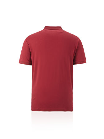 Galatasaray Erkek Polo T-Shirt E241239