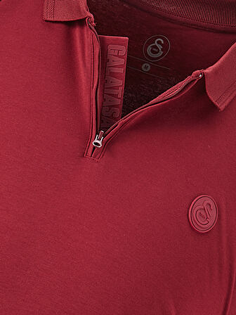 Galatasaray Erkek Polo T-Shirt E241239