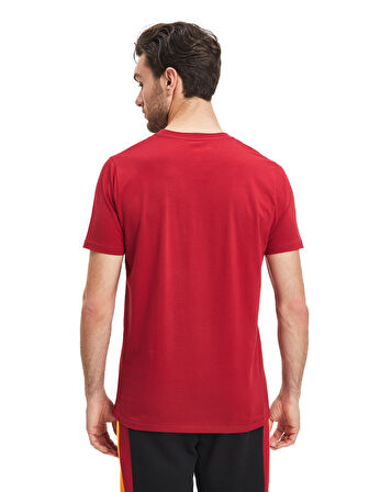 Galatasaray Erkek T-Shirt E241140